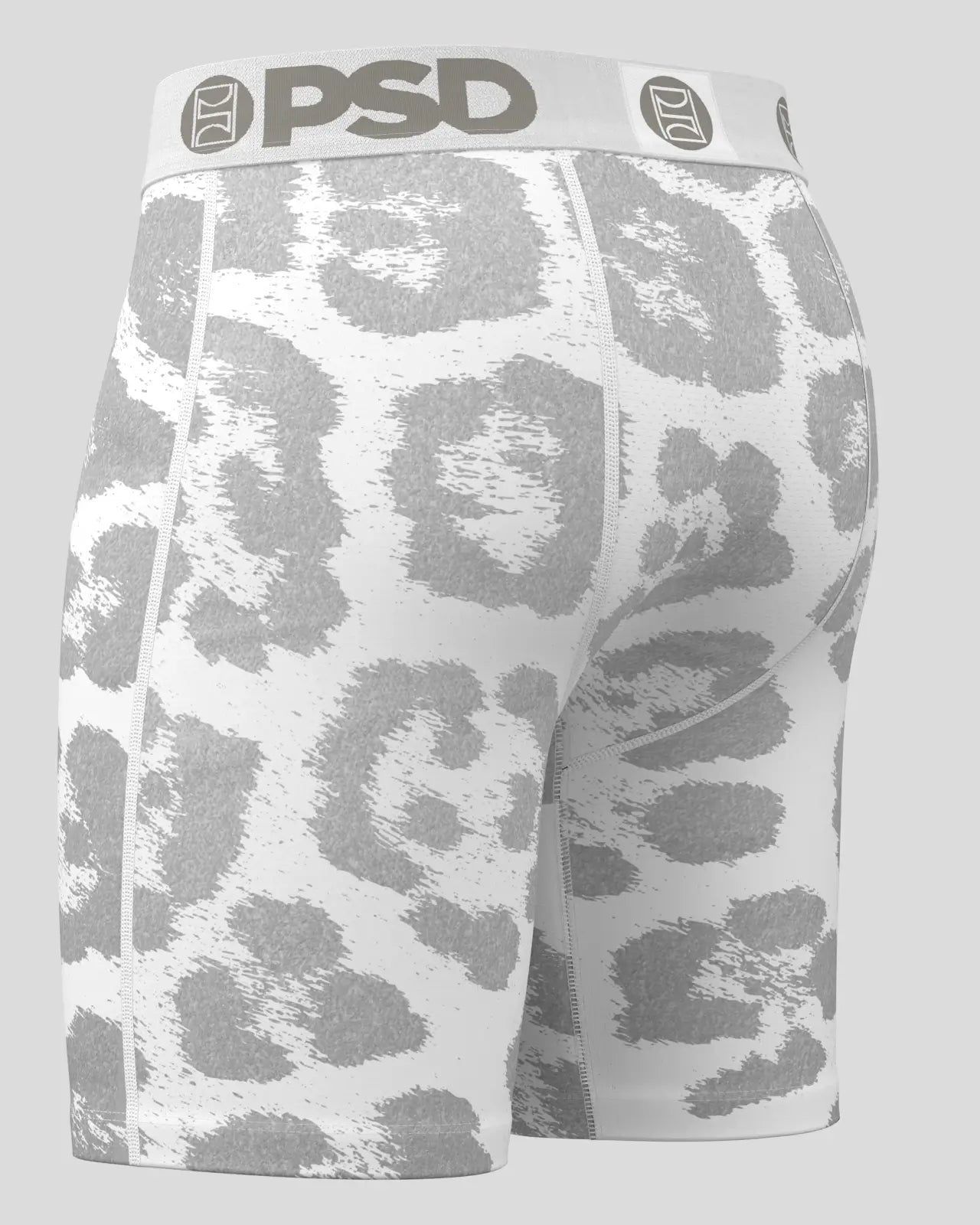 Snow Leopard - Image 3