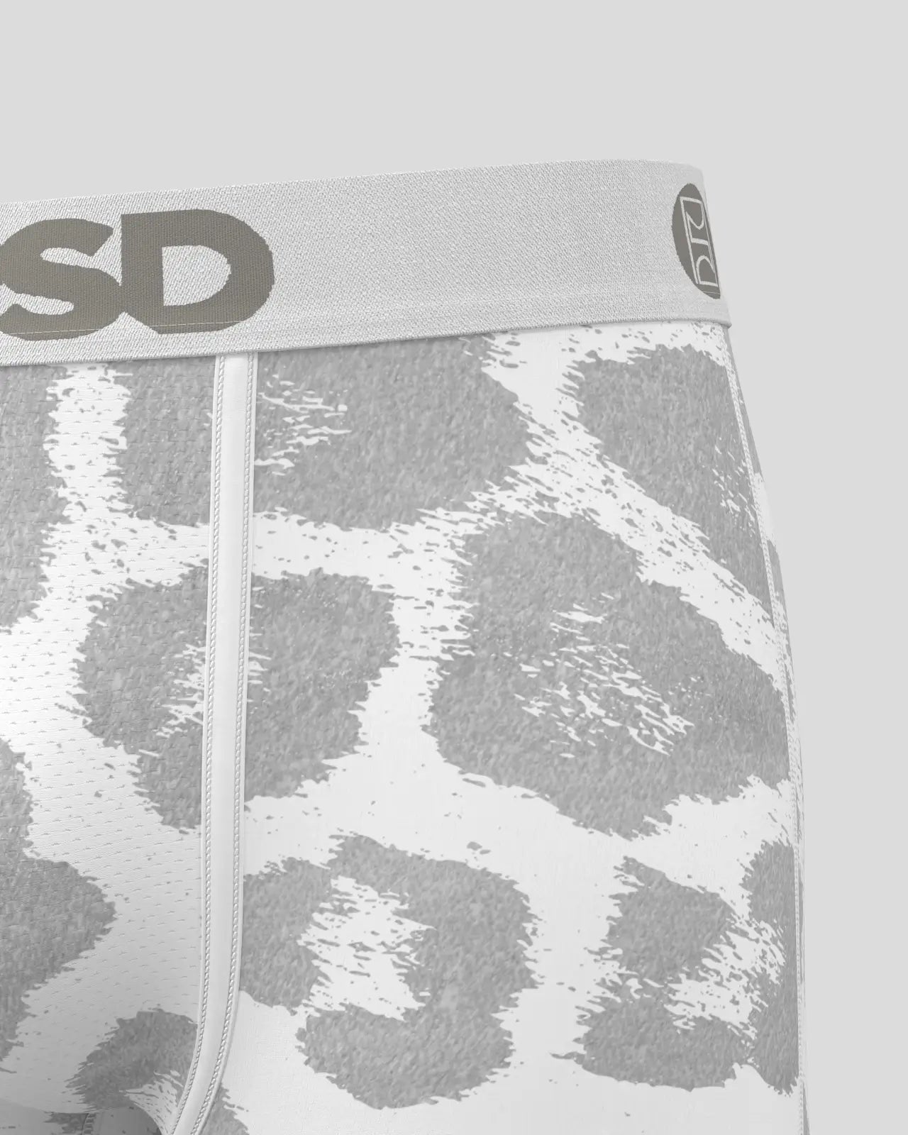 Snow Leopard - Image 5